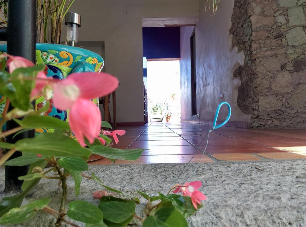 La Fuente Guanajuato Bed & Breakfast Exterior photo